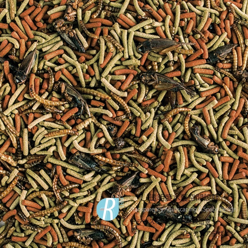 透明度 TRN｜Tropical 德比克｜REPTILES 高營養肉食烏龜、兩棲爬蟲飼料｜浮上性｜S顆粒｜250ml-細節圖2