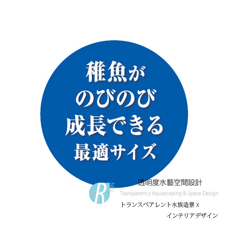 透明度 TRN｜GEX 五味｜メダカ元気 幼魚隔離培育養殖盒｜孵育盒 飼育盒 隔離盒 繁殖盒-細節圖4