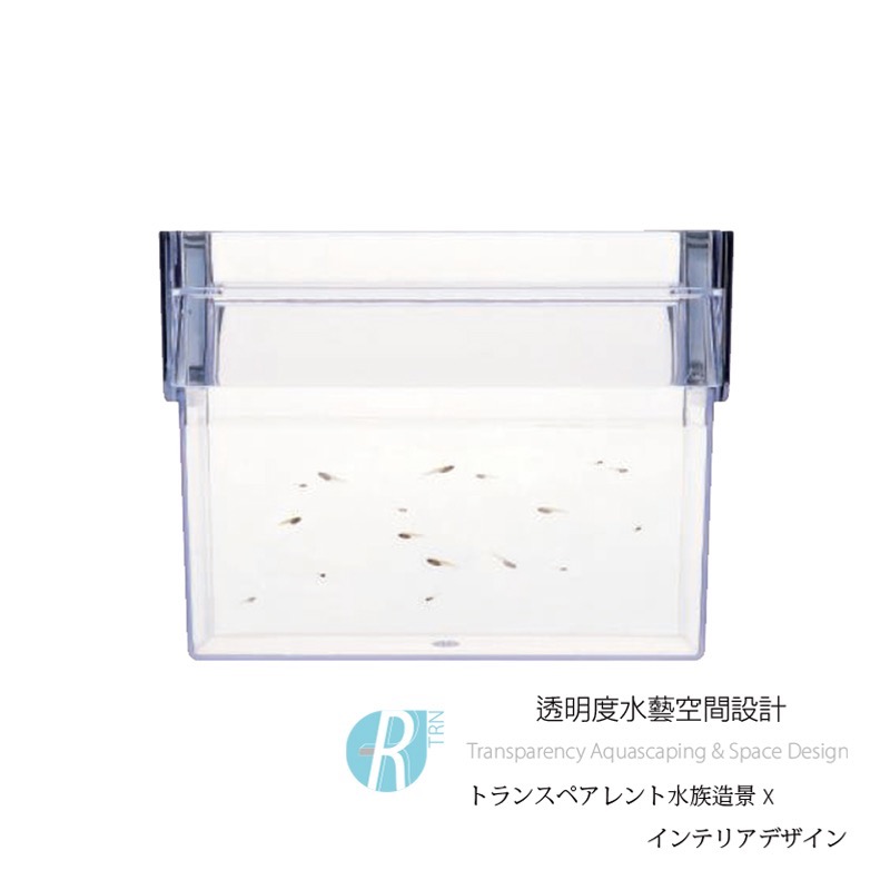 透明度 TRN｜GEX 五味｜メダカ元気 幼魚隔離培育養殖盒｜孵育盒 飼育盒 隔離盒 繁殖盒-細節圖5