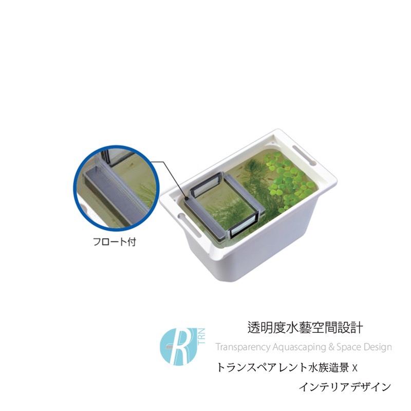 透明度 TRN｜GEX 五味｜メダカ元気 幼魚隔離培育養殖盒｜孵育盒 飼育盒 隔離盒 繁殖盒-細節圖6