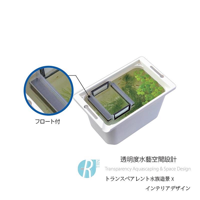 透明度 TRN｜GEX 五味｜青鱂元氣 幼魚隔離培育養殖盒｜孵育盒 飼育盒 隔離盒 繁殖盒-細節圖3