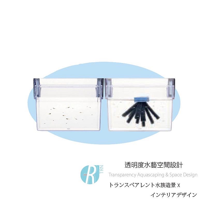 透明度 TRN｜GEX 五味｜青鱂元氣 幼魚隔離培育養殖盒｜孵育盒 飼育盒 隔離盒 繁殖盒-細節圖4