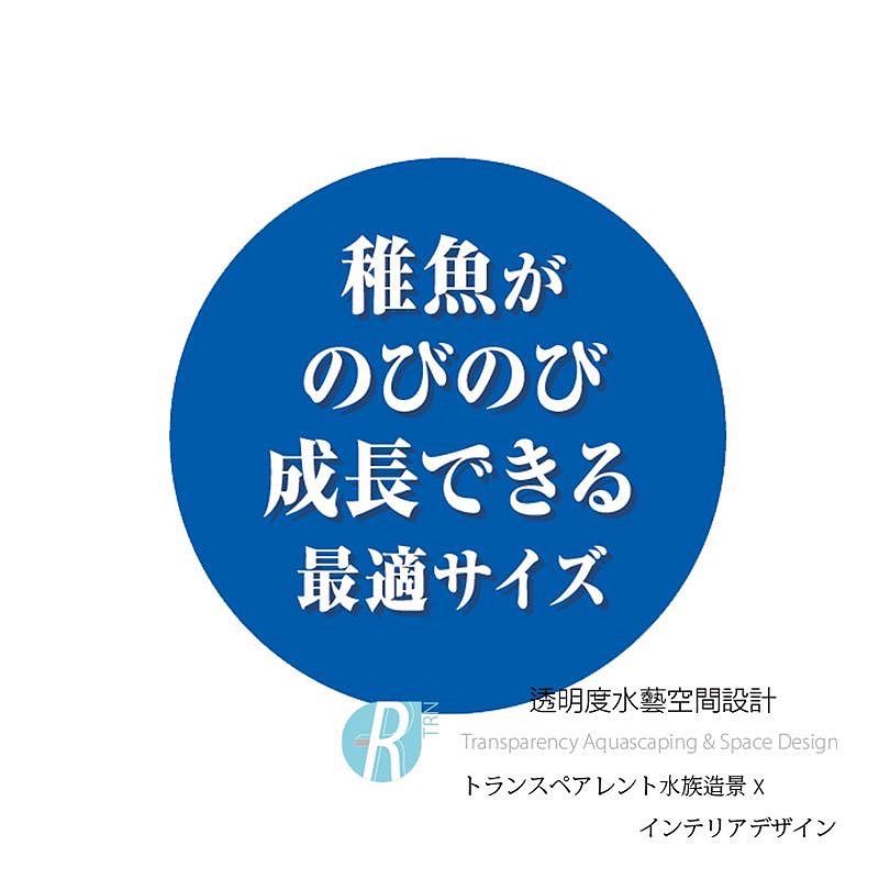 透明度 TRN｜GEX 五味｜青鱂元氣 幼魚隔離培育養殖盒｜孵育盒 飼育盒 隔離盒 繁殖盒-細節圖9