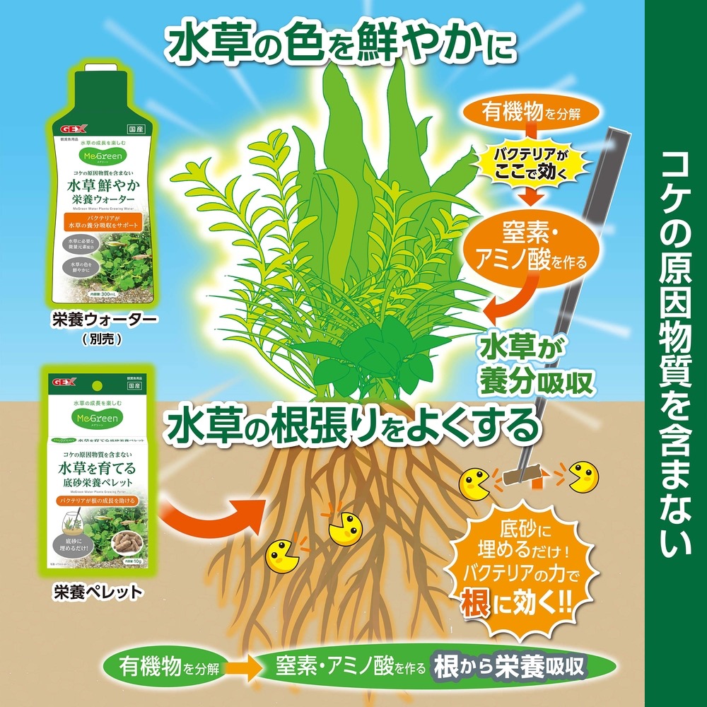 透明度 TRN｜GEX 五味｜MeGreen 水草成長基肥｜10g｜根肥-細節圖7