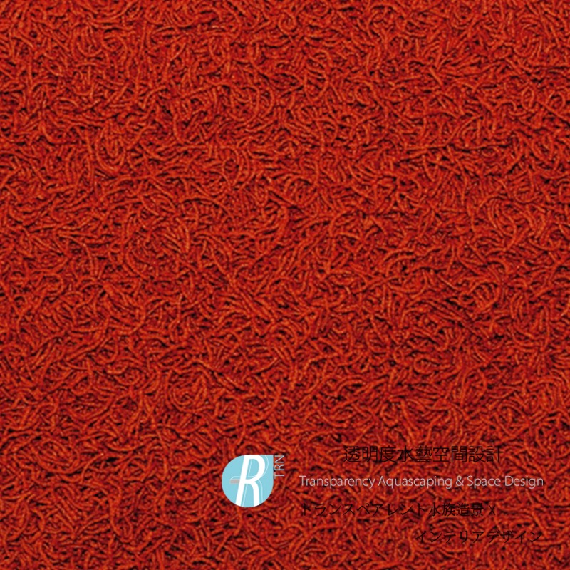 透明度 TRN｜Tropical 德比克｜RED MICO 高蛋白增豔浮水條狀飼料｜浮上性｜條狀｜100ml-細節圖2