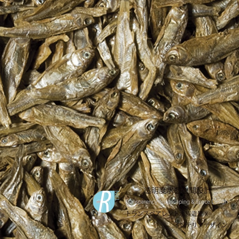 透明度 TRN｜Tropical 德比克｜DRIED FISH 100%純天然高蛋白魚乾飼料｜浮上性｜全魚｜100ml-細節圖2