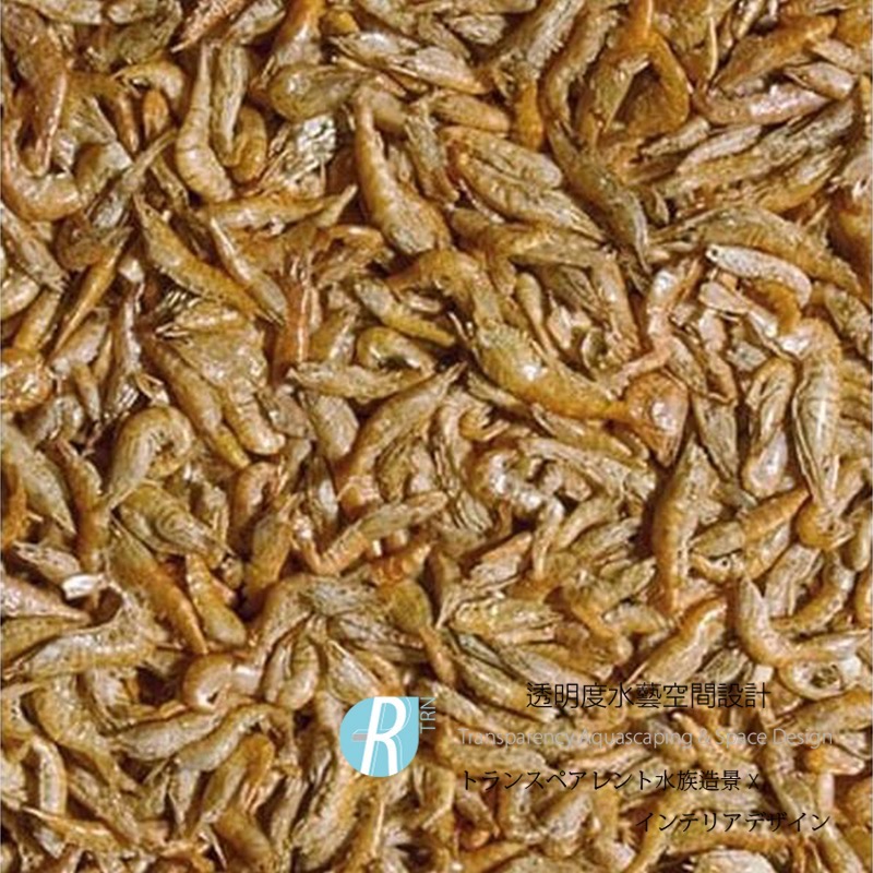 透明度 TRN｜Tropical 德比克｜SHRIMPS 100%純天然高蛋白河蝦飼料｜浮上性｜全蝦｜250ml-細節圖2