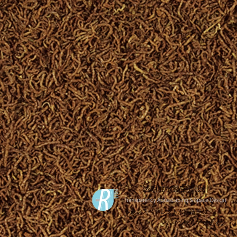 透明度 TRN｜Tropical 德比克｜BLOODWORMS 100%純天然乾燥赤蟲飼料｜浮上性｜紅蟲｜100ml-細節圖2