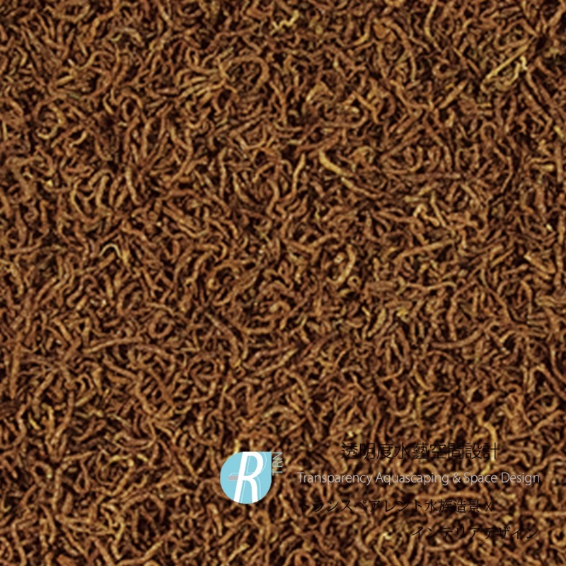 透明度 TRN｜Tropical 德比克｜BLOODWORMS 100%純天然乾燥赤蟲飼料｜浮上性｜紅蟲｜250ml-細節圖2