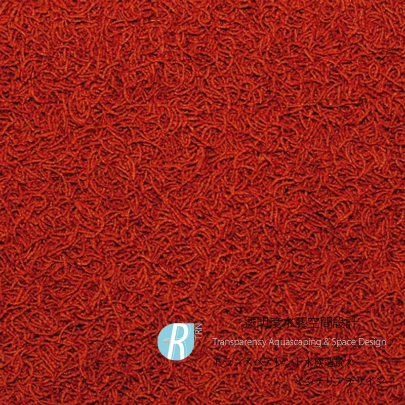 透明度 TRN｜Tropical 德比克｜RED MICO 高蛋白增豔浮水條狀飼料｜100ml｜浮上性｜細條狀-細節圖2