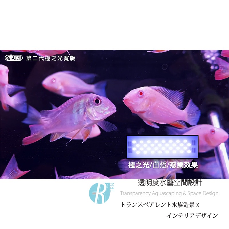透明度 TRN｜iSTA 伊士達｜2代極之光寬版水族LED燈｜3尺｜90~105cm｜玩家型白色跨燈-細節圖2