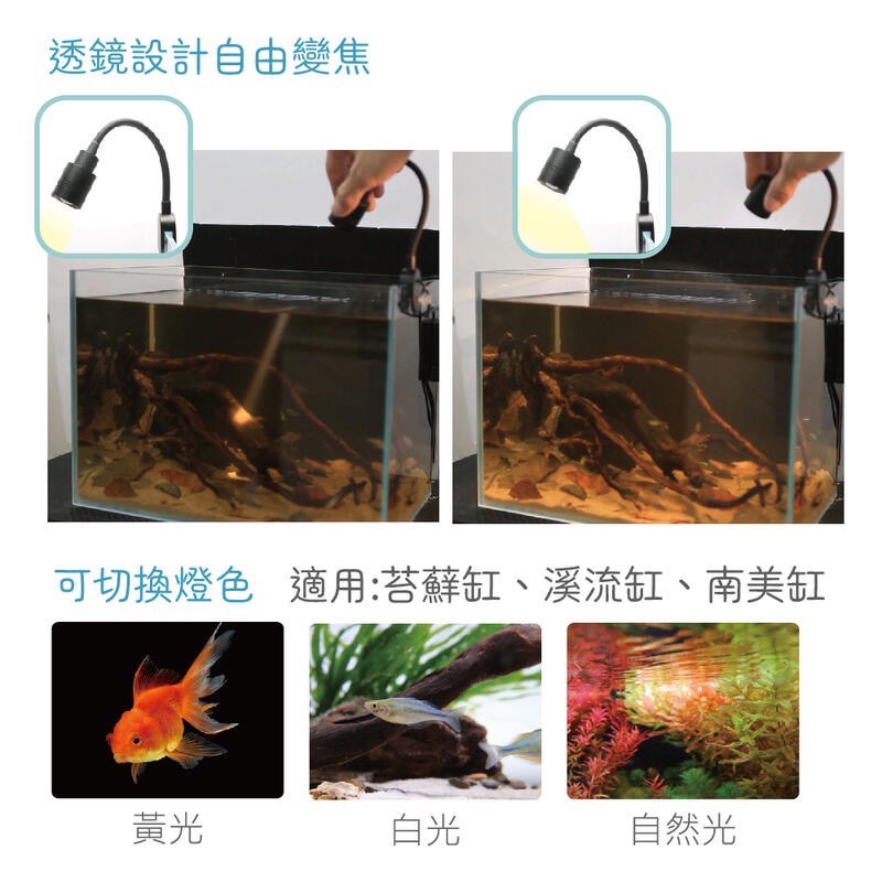 透明度 TRN｜iSTA 伊士達｜USB黃光/白光/自然光三合一三段式萬向投射燈｜1尺｜30cm｜入門型LED夾燈-細節圖3