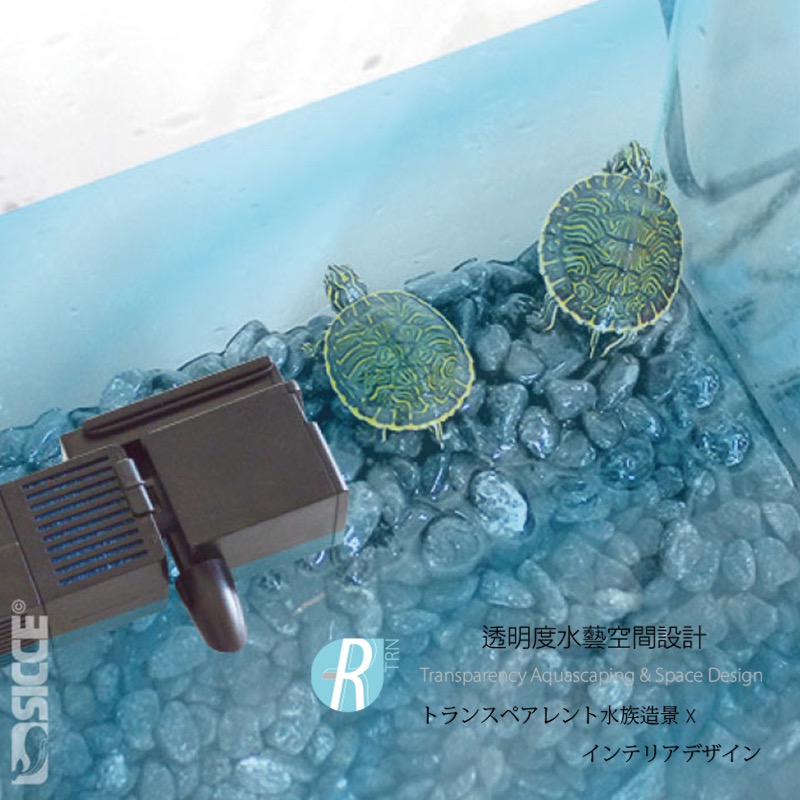 透明度 TRN｜SICCE 希捷｜Shark PRO 500/700/900 鯊魚內置過濾器｜沉水過濾器-細節圖7