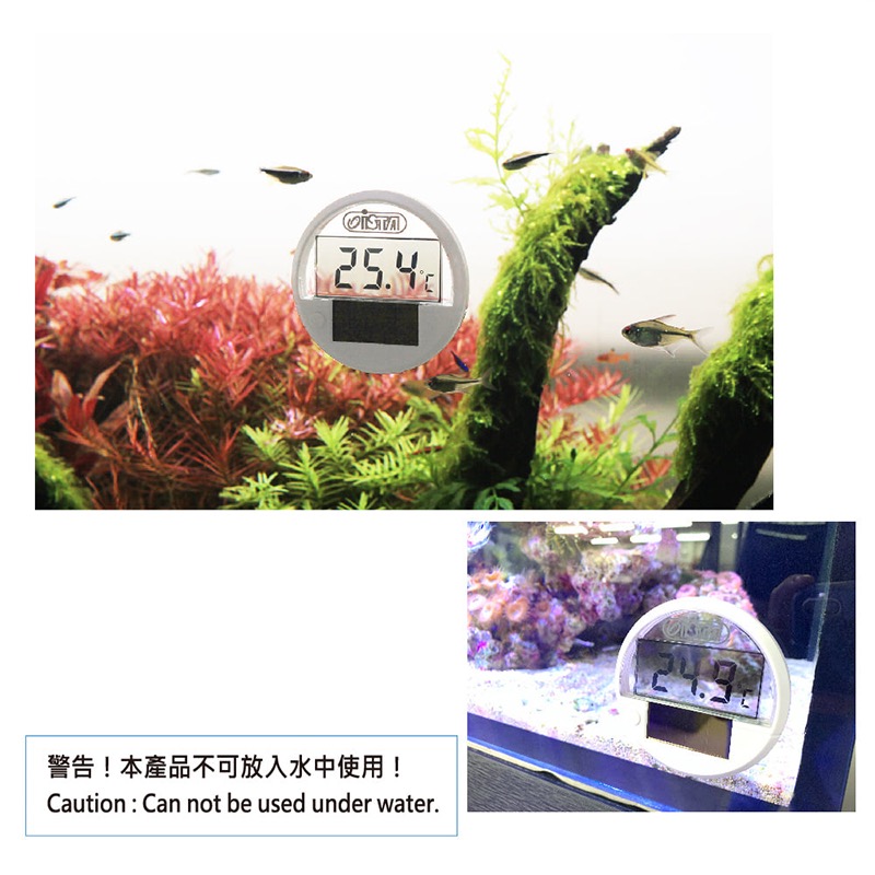 透明度 TRN｜iSTA 伊士達｜Solar Digital Thermometer 太陽能智能溫度計｜水溫計 高準確度-細節圖2