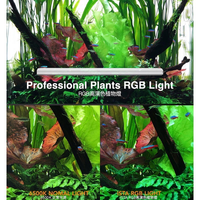 透明度 TRN｜iSTA 伊士達｜RGB高演色植物燈 1.5尺｜41~61cm｜專業型水草LED跨燈-細節圖5