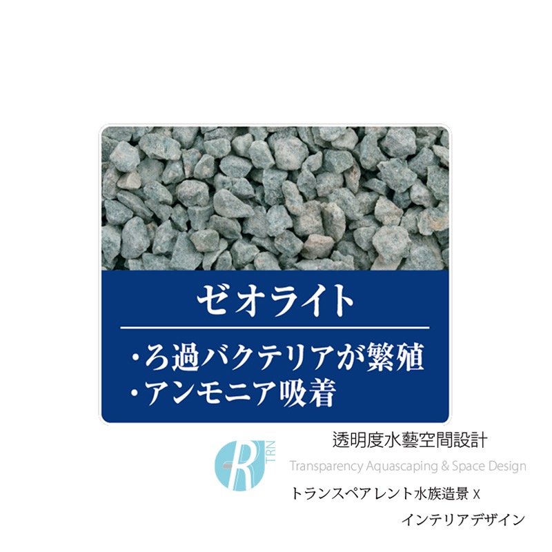 透明度 TRN｜GEX 五味｜高性能活性碳＋沸石｜10入｜吸收異味 改善水色 去阿摩尼亞/氨/亞硝酸/NO2 濾材-細節圖5