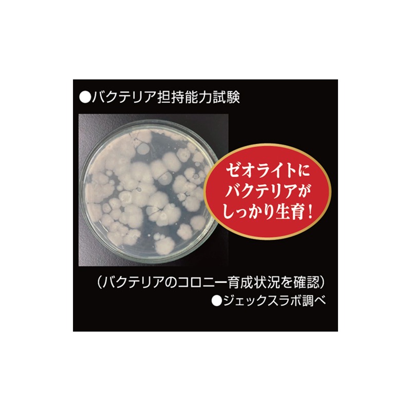 透明度 TRN｜GEX 五味｜高性能活性碳＋沸石｜10入｜吸收異味 改善水色 去阿摩尼亞/氨/亞硝酸/NO2 濾材-細節圖8