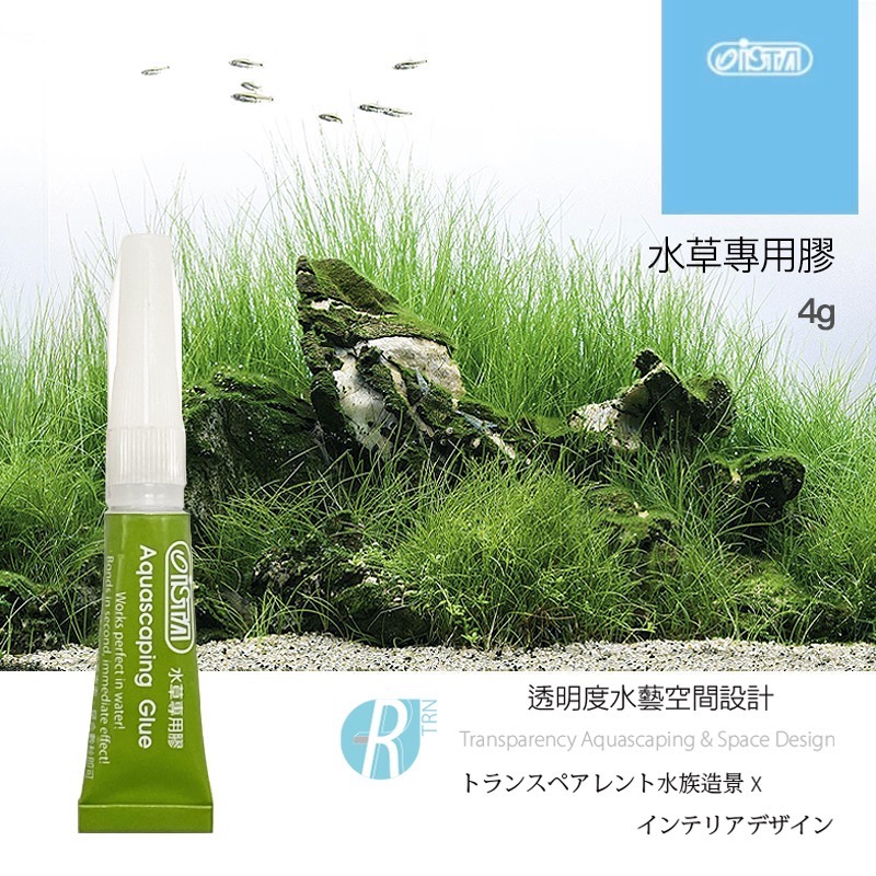 透明度 TRN｜iSTA 伊士達｜Aquascaping Glue 水草專用膠｜綠蓋｜4g｜快乾膠-細節圖2