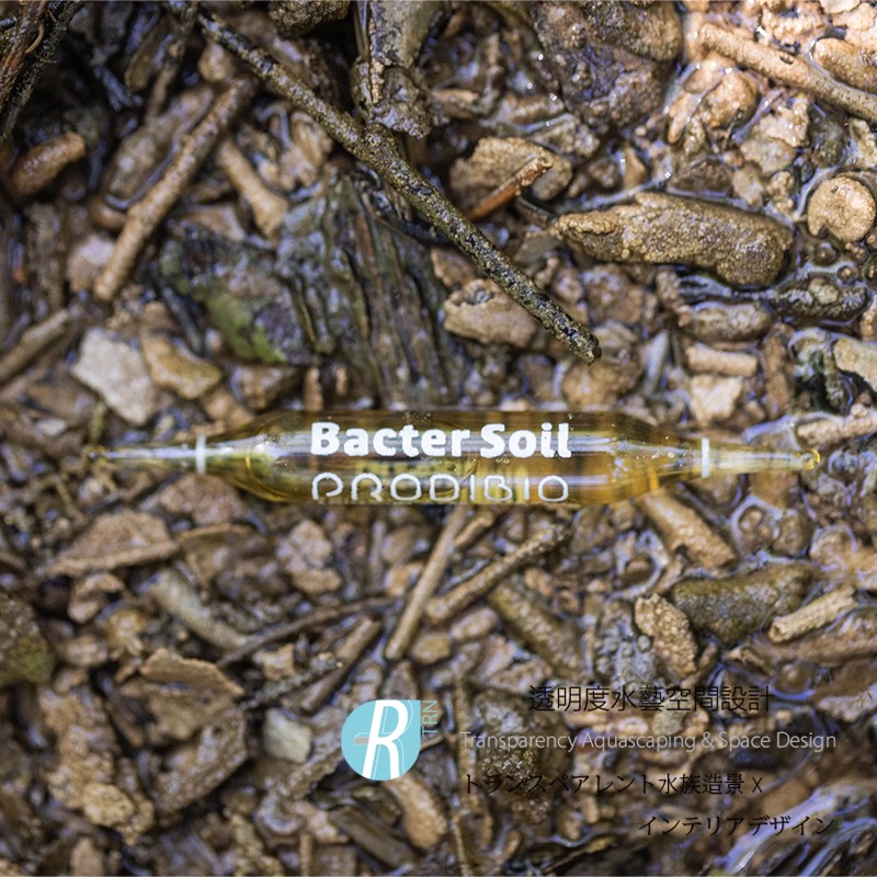 透明度 TRN｜PRODIBIO 普洛迪｜Chloral Reset 高效濃縮型除氯水質安定劑｜除氯氨｜散售-細節圖2