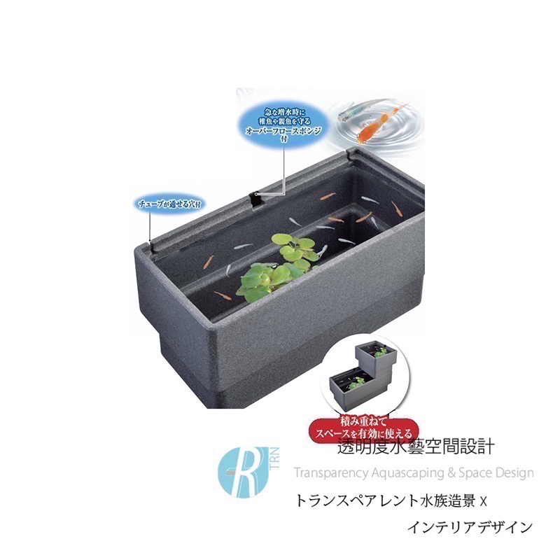 透明度 TRN｜GEX 五味｜メダカ元気 舒適飼養箱 L｜25L｜保溫魚箱 戶外水缸-細節圖3