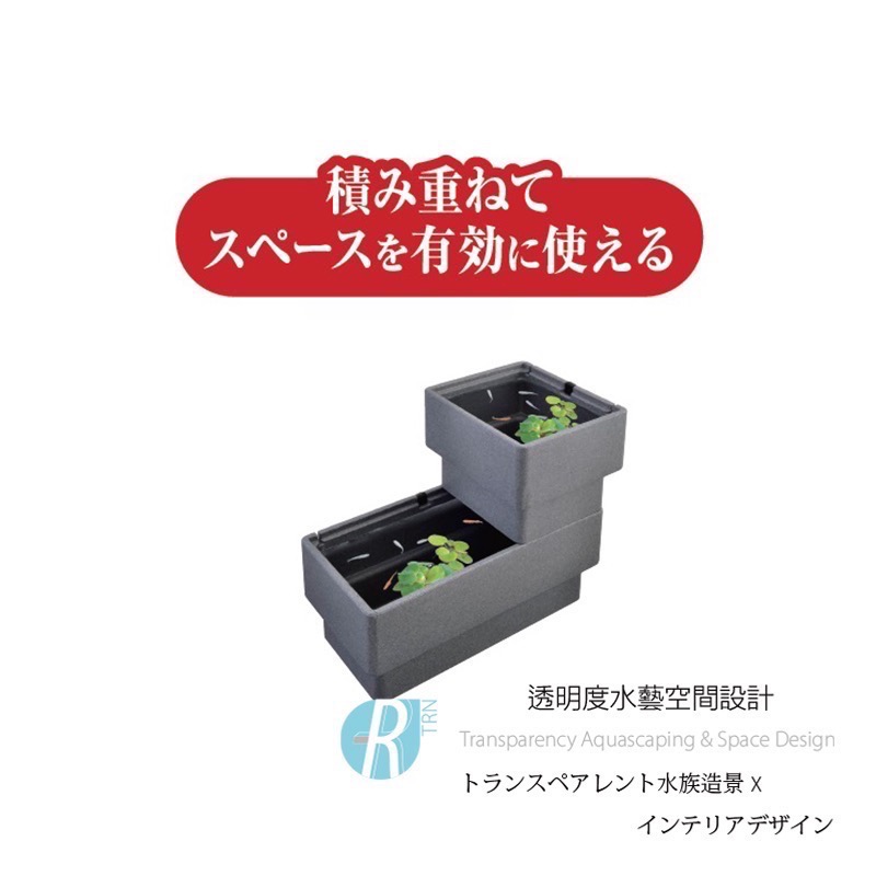 透明度 TRN｜GEX 五味｜メダカ元気 舒適飼養箱｜M｜15L｜保溫魚箱 戶外水缸-細節圖5