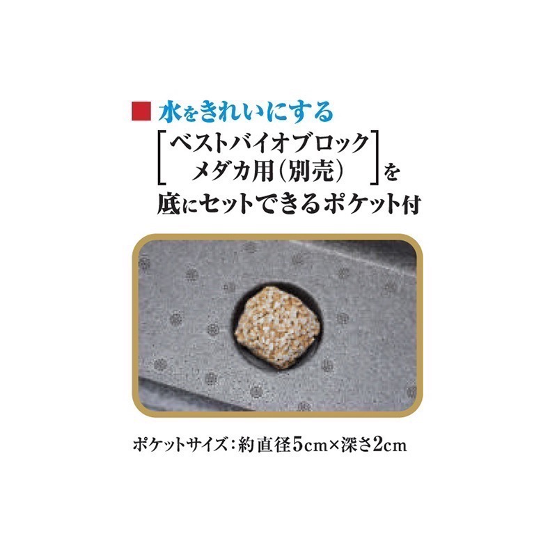 透明度 TRN｜GEX 五味｜メダカ元気 舒適飼養箱｜M｜15L｜保溫魚箱 戶外水缸-細節圖6