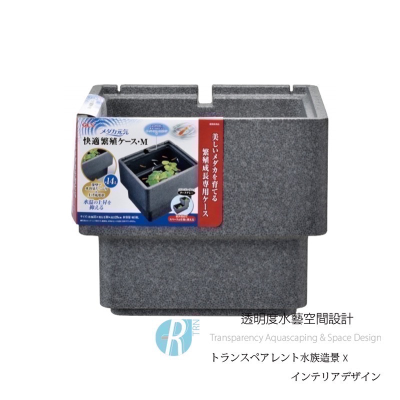 透明度 TRN｜GEX 五味｜メダカ元気 舒適飼養箱 M｜15L｜保溫魚箱 戶外水缸-細節圖2