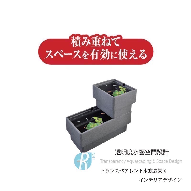 透明度 TRN｜GEX 五味｜メダカ元気 舒適飼養箱 M｜15L｜保溫魚箱 戶外水缸-細節圖5