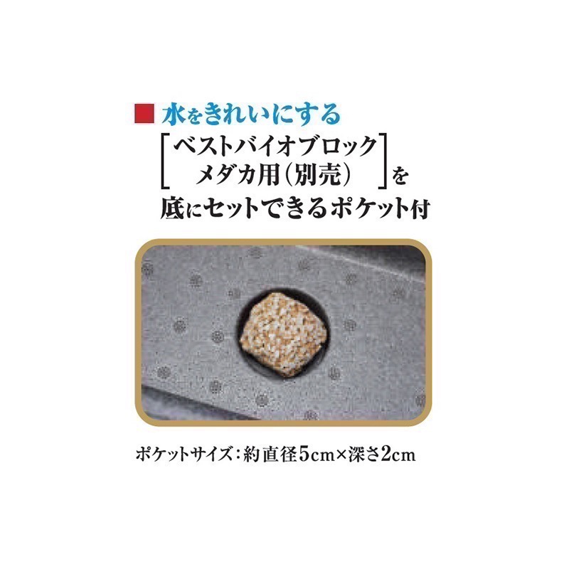 透明度 TRN｜GEX 五味｜メダカ元気 舒適飼養箱 M｜15L｜保溫魚箱 戶外水缸-細節圖6