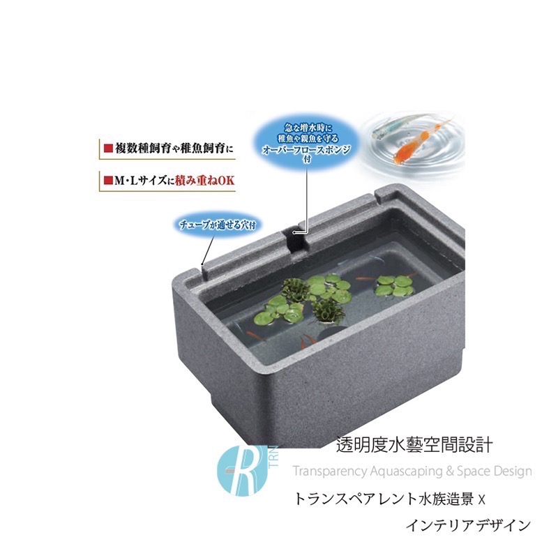 透明度 TRN｜GEX 五味｜メダカ元気 舒適飼養箱｜S｜5L｜保溫魚箱 戶外水缸-細節圖3