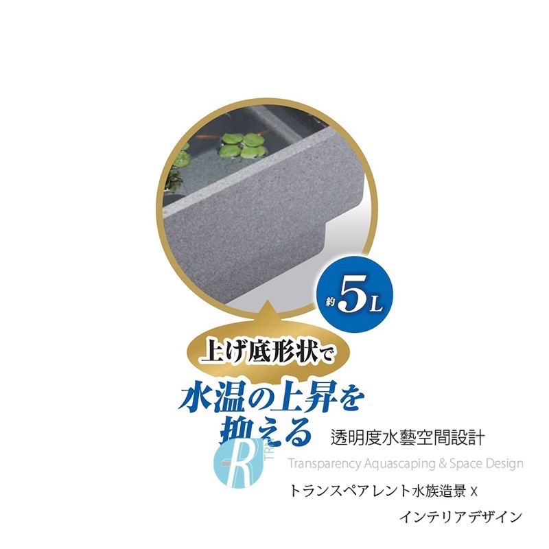 透明度 TRN｜GEX 五味｜メダカ元気 舒適飼養箱｜S｜5L｜保溫魚箱 戶外水缸-細節圖4