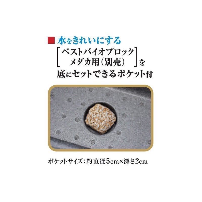 透明度 TRN｜GEX 五味｜メダカ元気 舒適飼養箱｜S｜5L｜保溫魚箱 戶外水缸-細節圖5