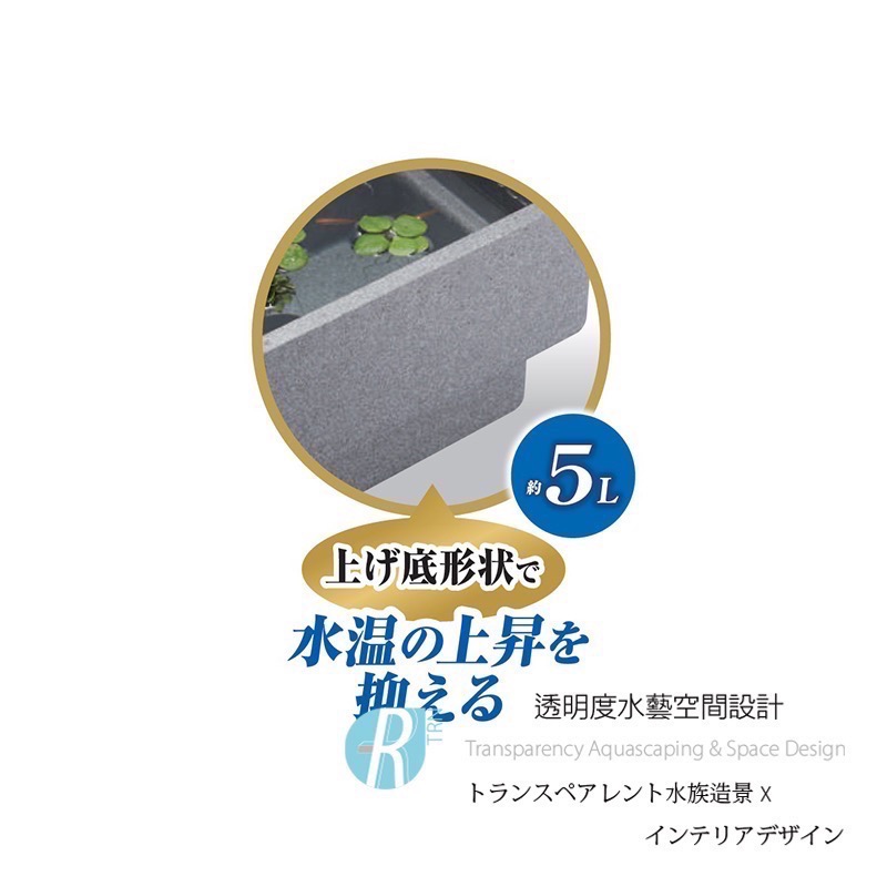 透明度 TRN｜GEX 五味｜メダカ元気 舒適飼養箱 S｜5L｜保溫魚箱 戶外水缸-細節圖4