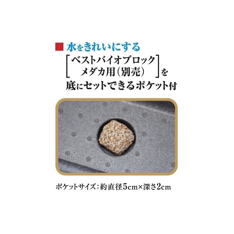 透明度 TRN｜GEX 五味｜メダカ元気 舒適飼養箱 S｜5L｜保溫魚箱 戶外水缸-細節圖6