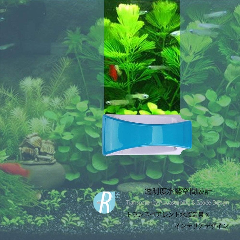 透明度 TRN｜Mr. Aqua 水族先生｜浮力磁刷｜XXL｜10mm以上｜磁鐵刷 除青苔-細節圖4