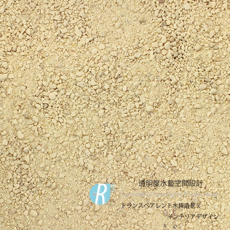 透明度 TRN｜Seachem 西肯｜Pearl Beach 天然文石基底｜粗白色｜1/3Kg｜珊瑚砂 底砂 細砂｜散售-細節圖3