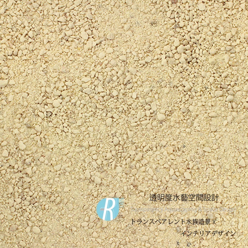 透明度 TRN｜Seachem 西肯｜Pearl Beach 天然文石基底｜粗白色｜1Kg｜珊瑚砂 底砂 細砂｜散售-細節圖2