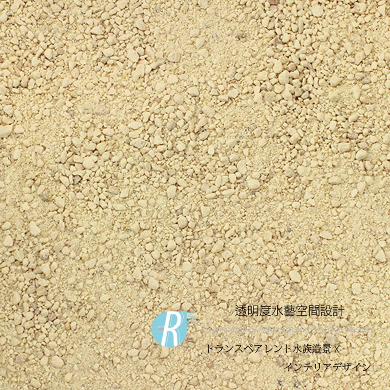 透明度 TRN｜Seachem 西肯｜Pearl Beach 天然文石基底｜粗白色｜1Kg｜珊瑚砂 底砂 細砂｜散售-細節圖2