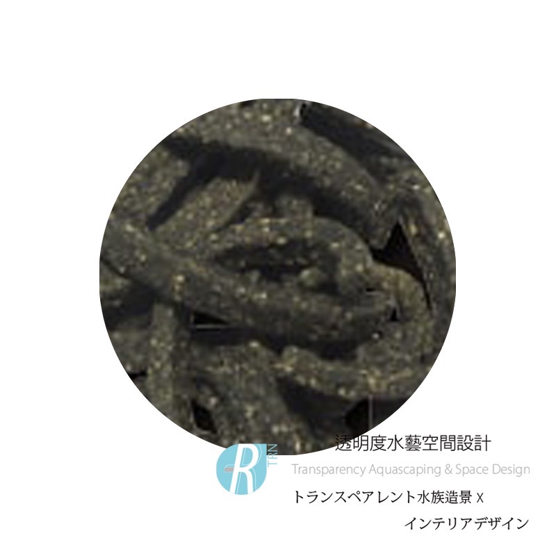 透明度 TRN｜SL-AQUA 淞亮｜MORE系列 魔餌 野菜飼料｜沉下性｜條狀｜30g｜米蝦 水晶蝦-細節圖2