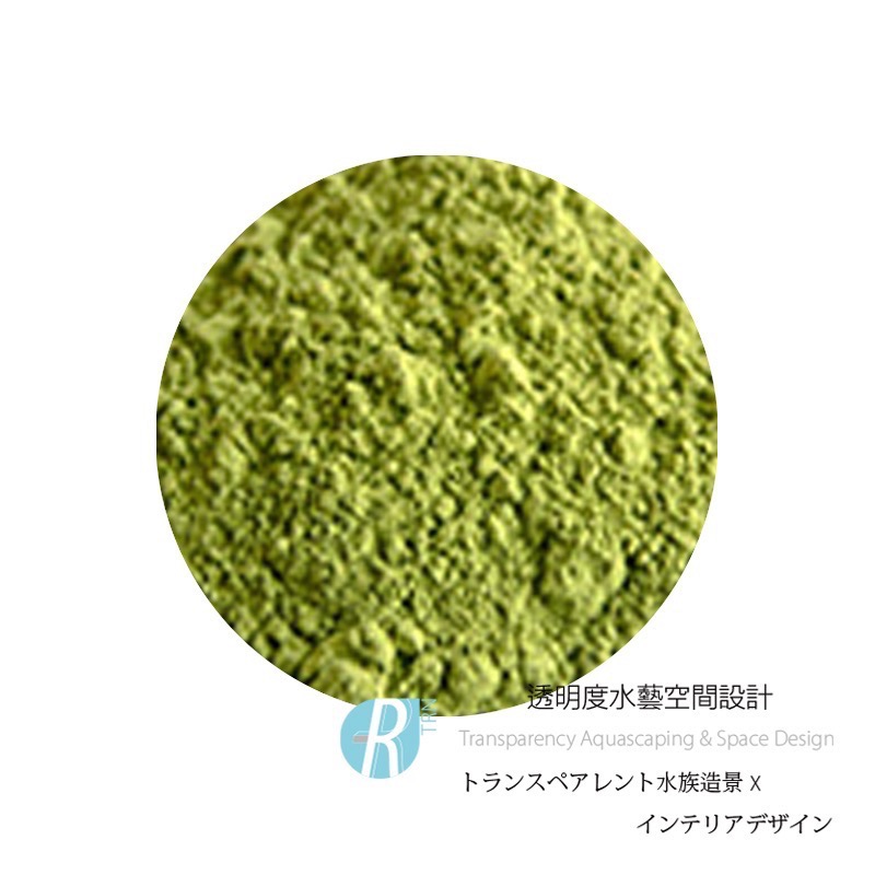透明度 TRN｜SL-AQUA 淞亮｜MORE系列 魔餌 菠菜粉飼料｜緩沉性｜粉狀｜40g-細節圖2