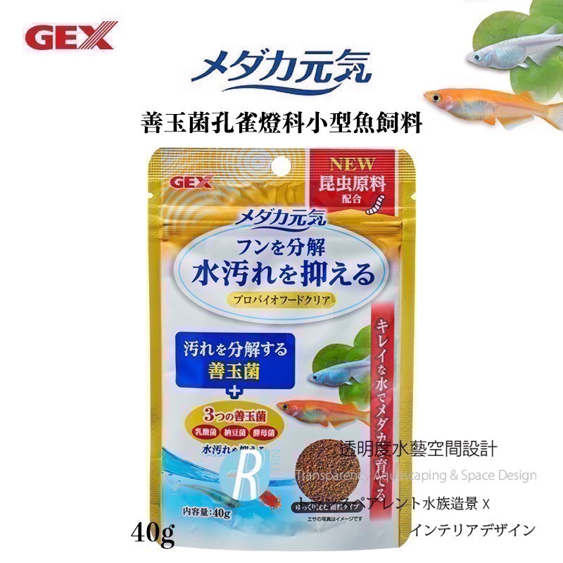 透明度 TRN｜GEX 五味｜メダカ元気 善玉菌孔雀燈科小型魚飼料｜緩沉性｜細顆粒｜40g