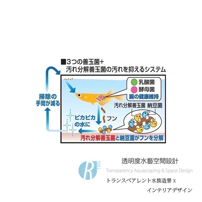 透明度 TRN｜GEX 五味｜メダカ元気 善玉菌孔雀燈科小型魚飼料｜緩沉性｜細顆粒｜40g-細節圖4