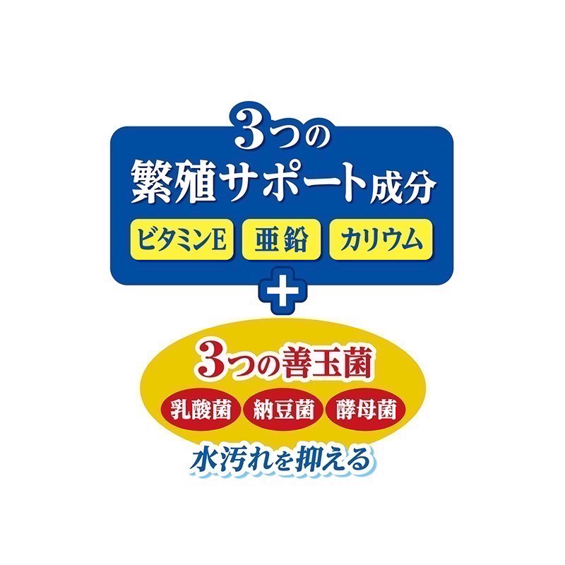 透明度 TRN｜GEX 五味｜メダカ元気 孔雀燈科小型魚繁殖成長飼料｜緩沉性｜粉顆粒｜40g-細節圖2
