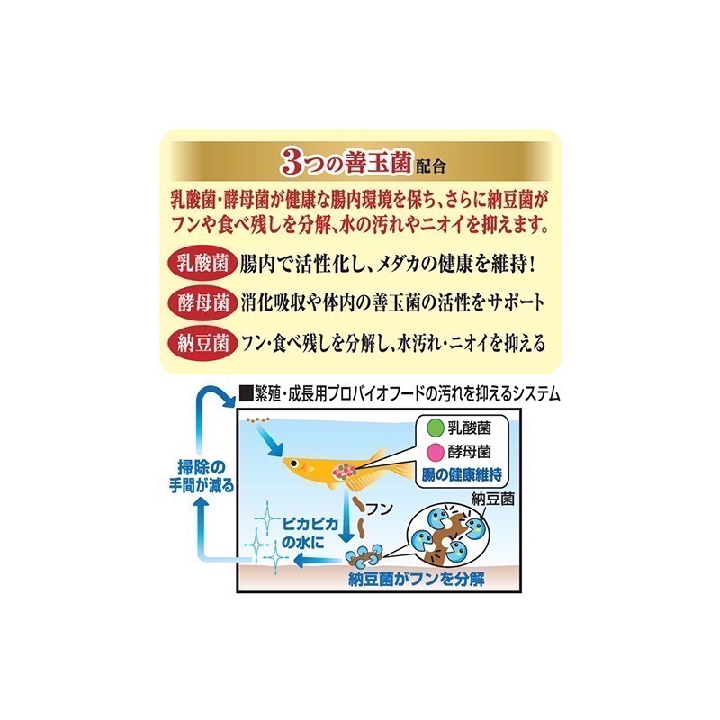 透明度 TRN｜GEX 五味｜メダカ元気 孔雀燈科小型魚繁殖成長飼料｜緩沉性｜粉顆粒｜40g-細節圖3