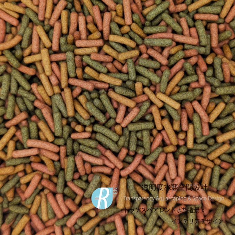 透明度 TRN｜Tropical 德比克｜BIOREPT W 高蛋白幼龜成長主食飼料｜浮上性｜M顆粒｜250ml｜澤龜-細節圖2