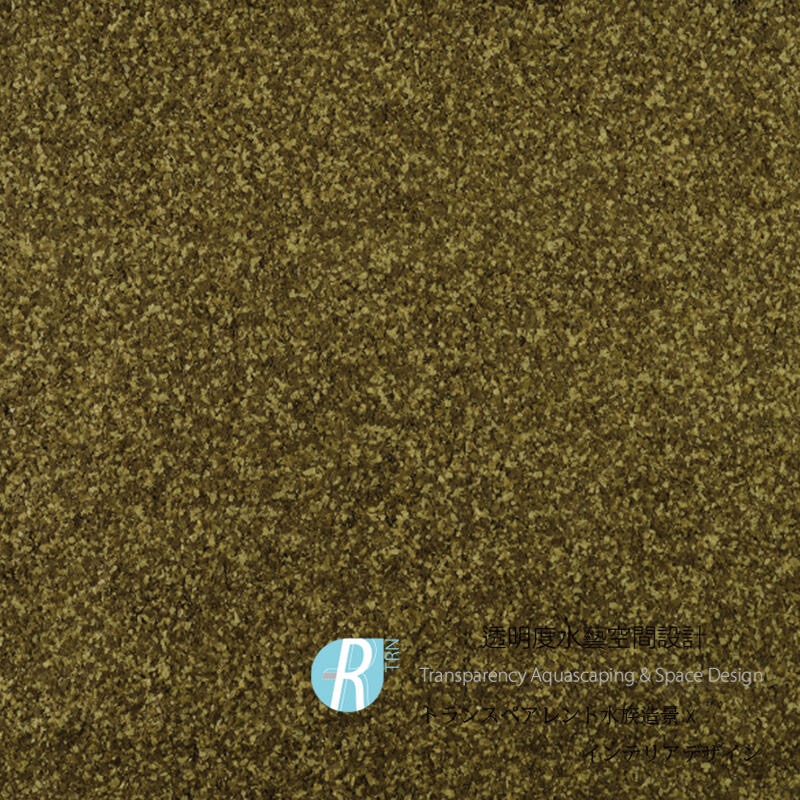 透明度 TRN｜Tetra 德彩｜Guppy Mini Flakes 新孔雀魚薄片飼料｜浮上性｜薄片狀｜250ml-細節圖2