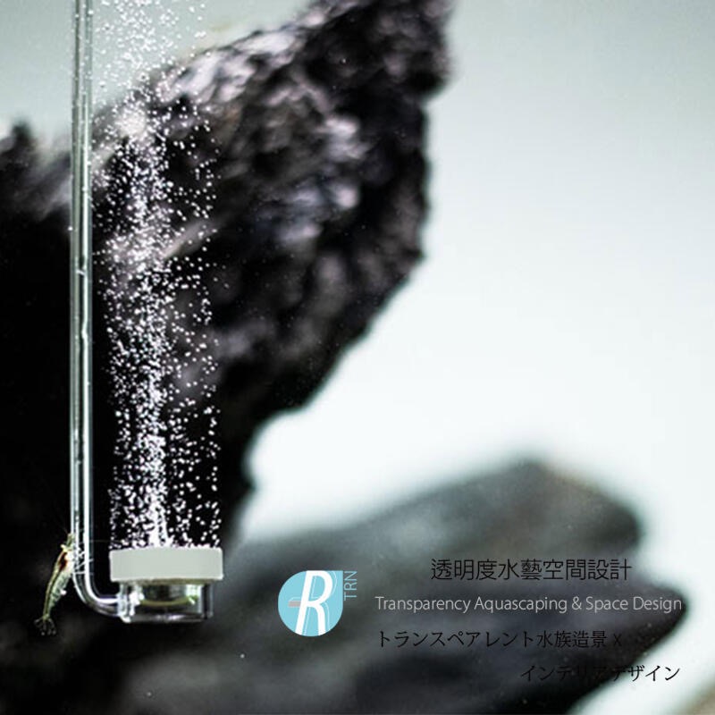 透明度 TRN｜AQUARIO neo｜AIR Diffuser NORMAL SPECIAL 陶瓷細化器｜L｜極細氣泡-細節圖2