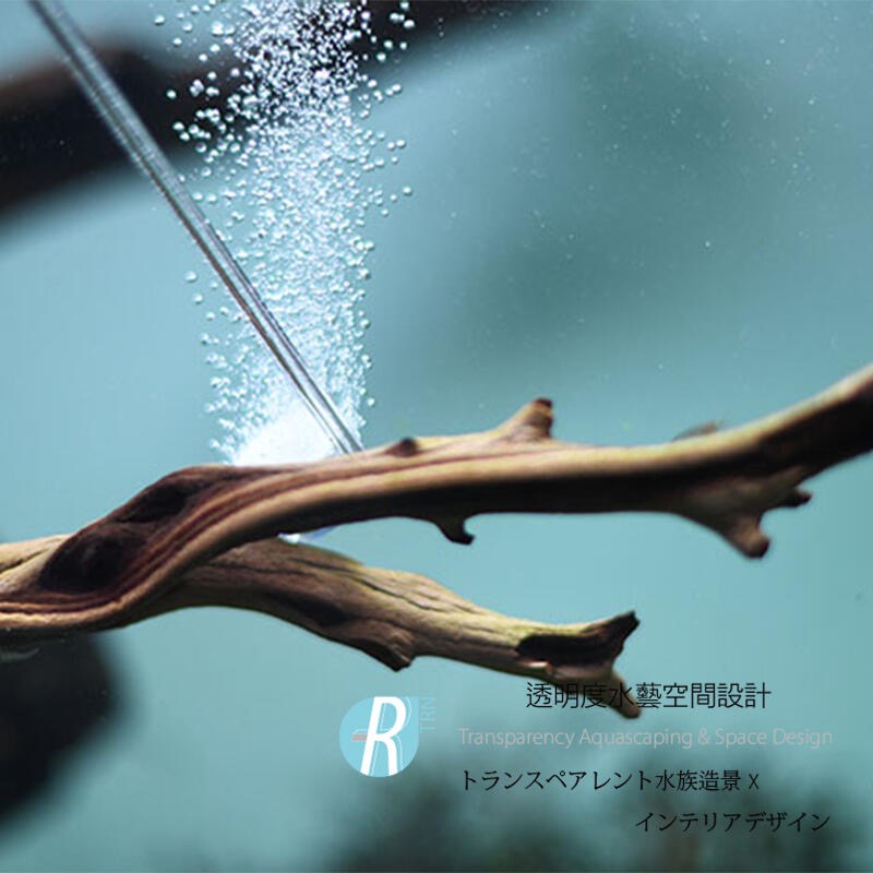 透明度 TRN｜AQUARIO neo｜AIR Diffuser NORMAL SPECIAL 陶瓷細化器｜L｜極細氣泡-細節圖4