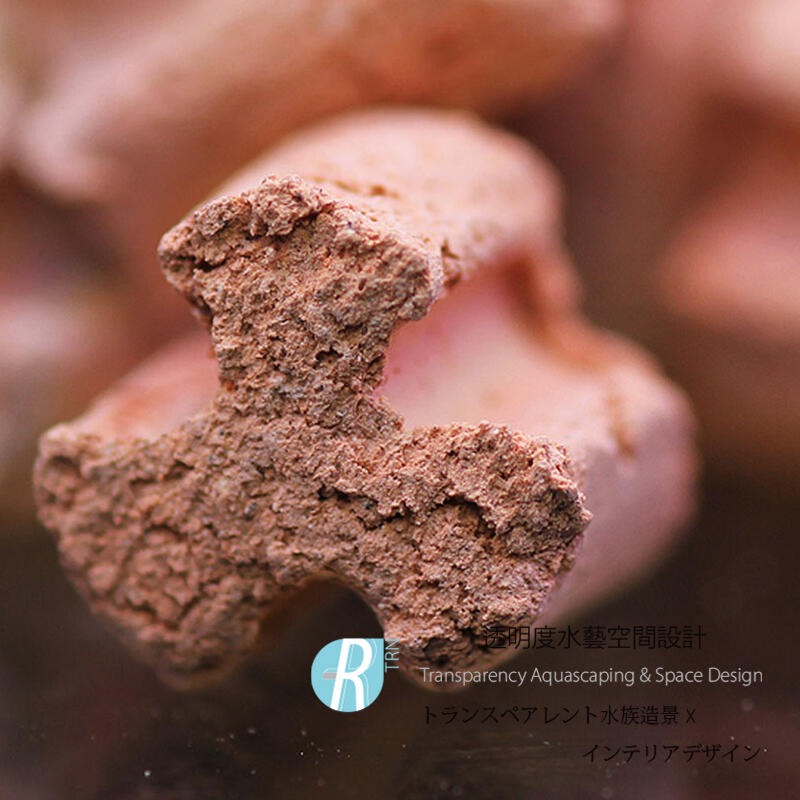 透明度 TRN｜AQUARIO neo｜MEDIA PURE 優質中性濾材｜1L｜多孔性 培菌石 培菌環 陶瓷環-細節圖2