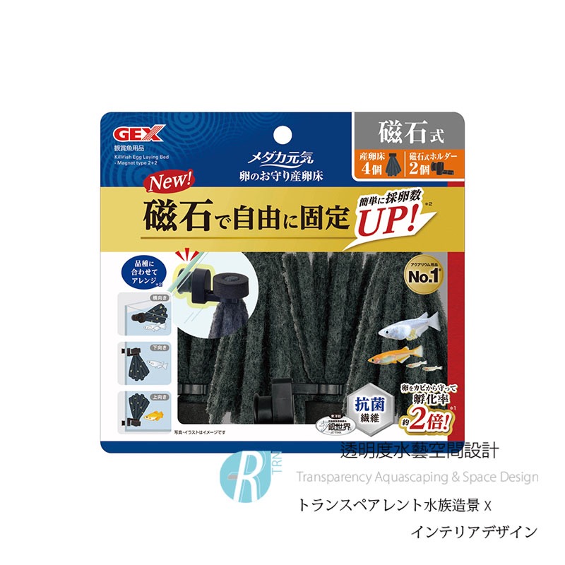 透明度 TRN｜GEX 五味｜メダカ元気 磁吸式稻田魚產卵床｜4入｜人工產卵藻-細節圖2